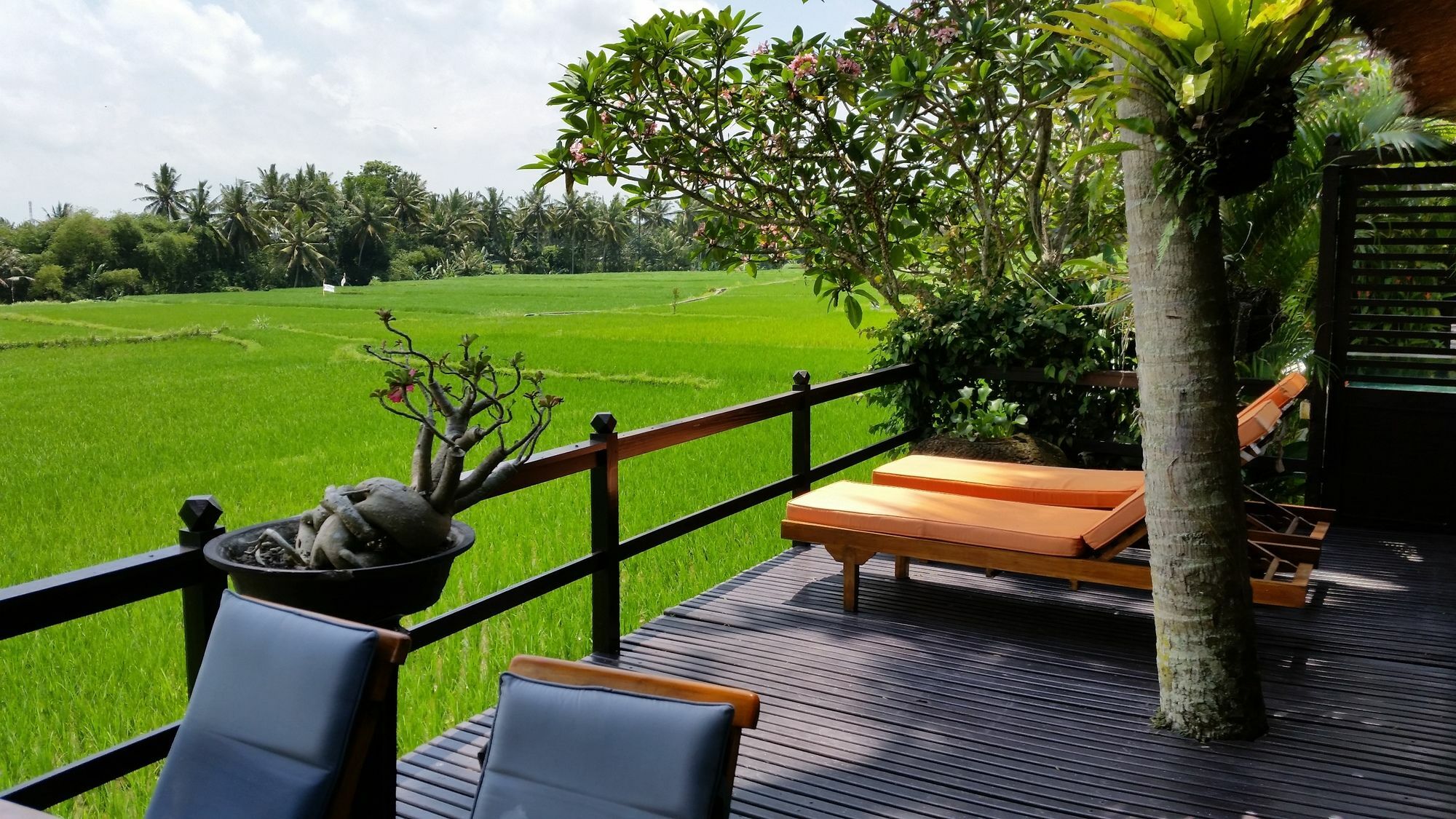 Lodtunduh Sari Hotel Ubud Eksteriør billede
