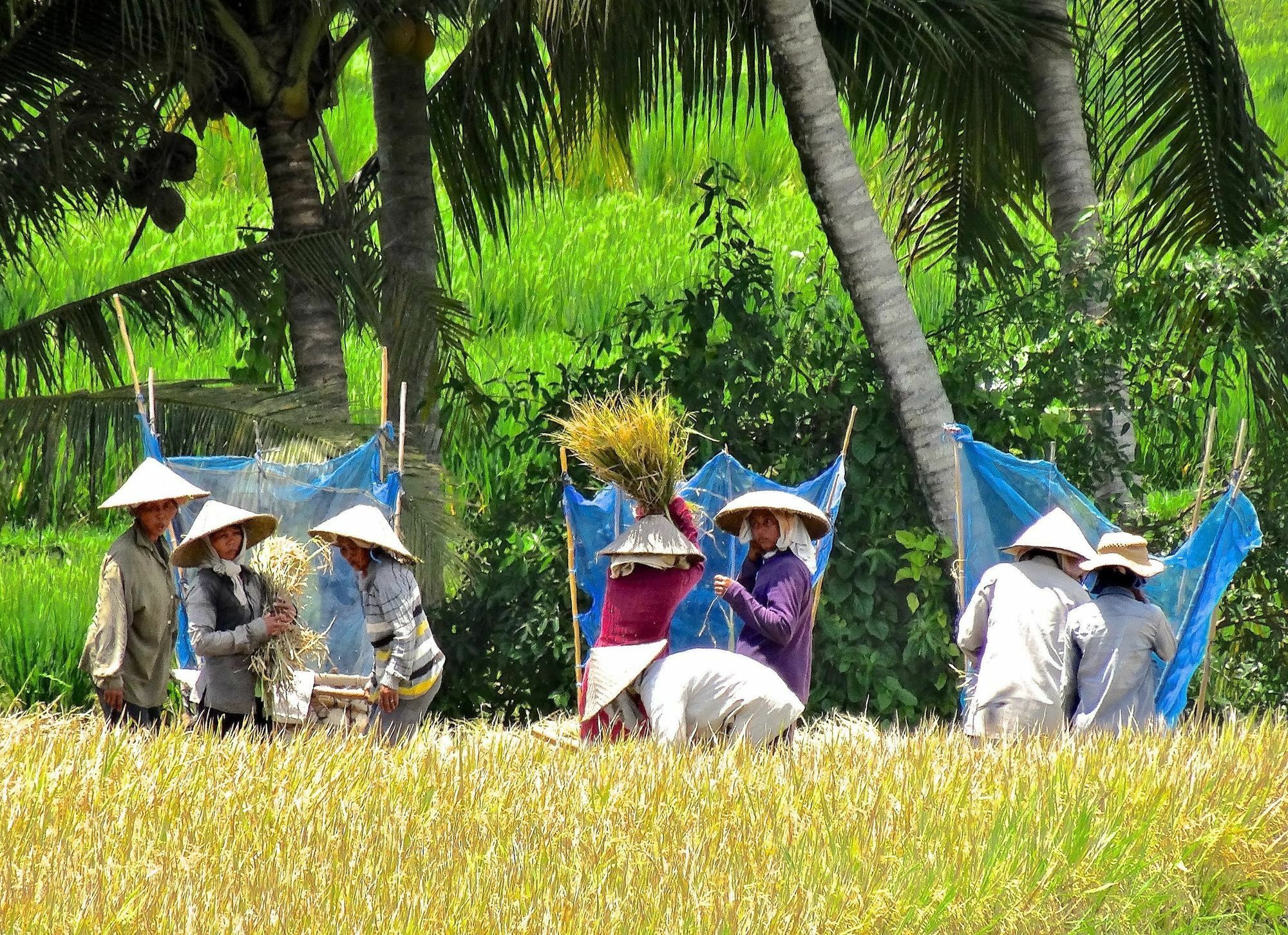 Lodtunduh Sari Hotel Ubud Eksteriør billede