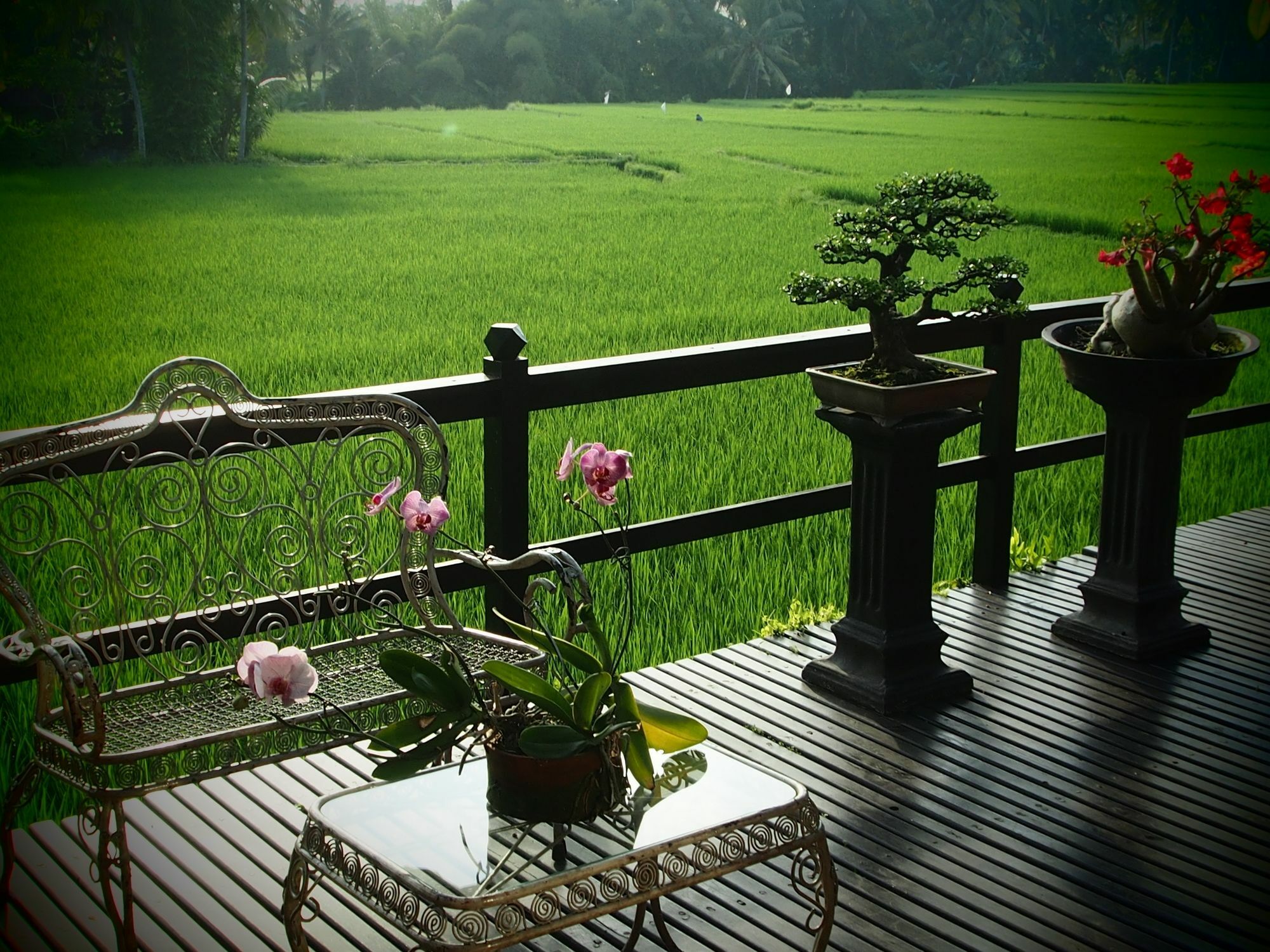 Lodtunduh Sari Hotel Ubud Eksteriør billede