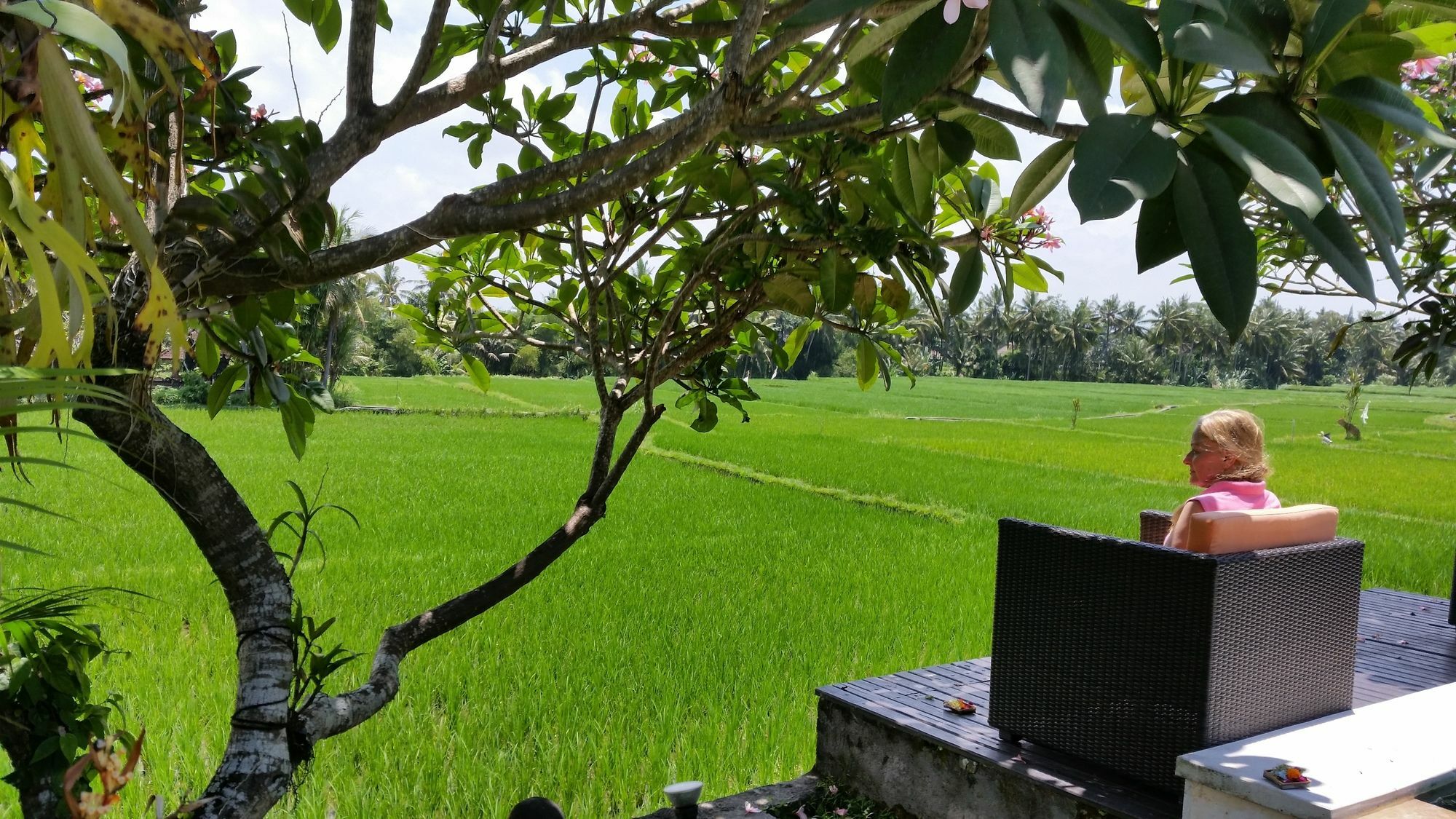 Lodtunduh Sari Hotel Ubud Eksteriør billede