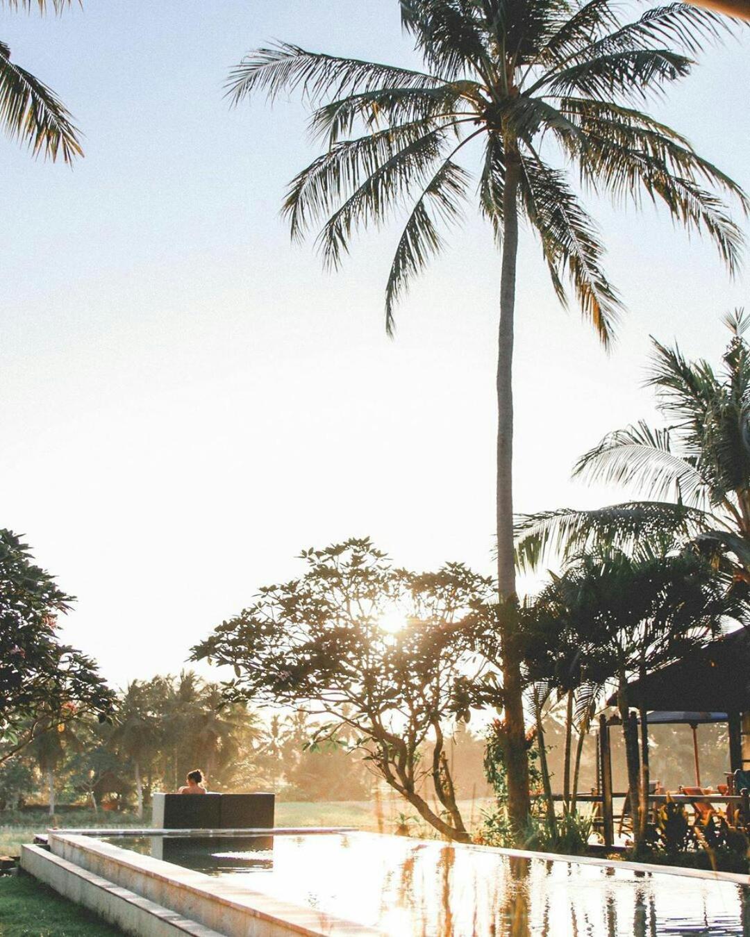 Lodtunduh Sari Hotel Ubud Eksteriør billede
